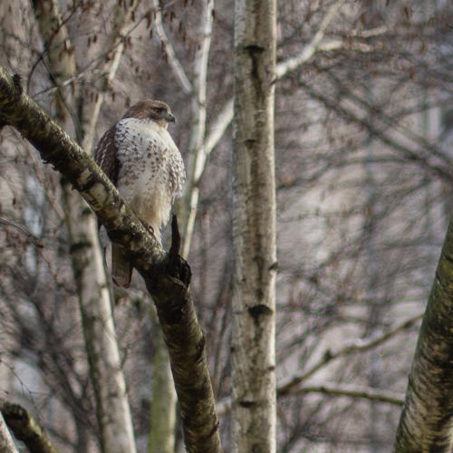 blog photo titled trepidation