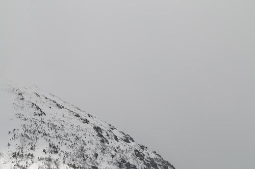 blog photo titled gallivant