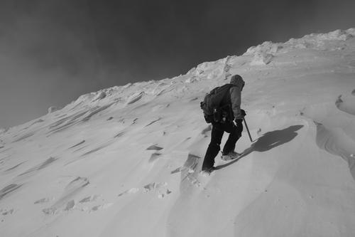 blog photo titled shield