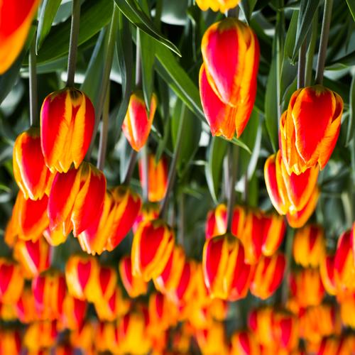 blog photo titled gramarye