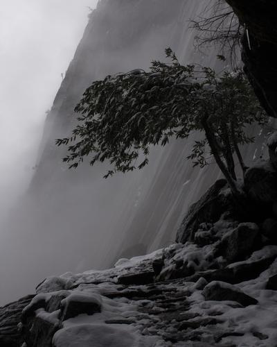 blog photo titled entanglement