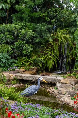 blog photo titled heron