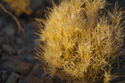 blog photo titled moses