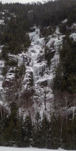 blog photo titled taller