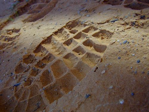 blog photo titled impending