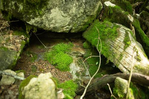 blog photo titled judy