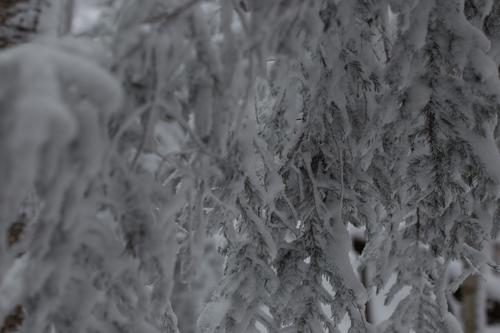 blog photo titled awakening