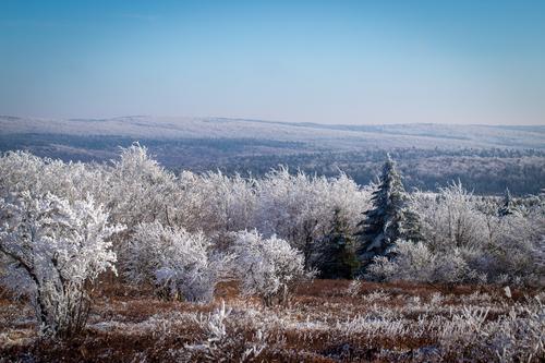 blog photo titled outlandish