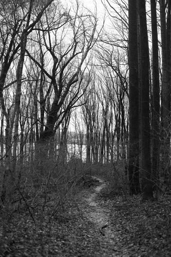 blog photo titled revisit