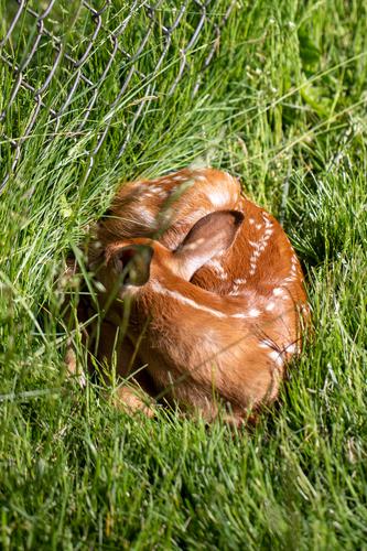 blog photo titled despisal