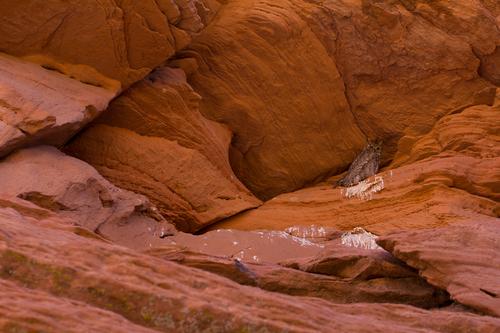 blog photo titled apt