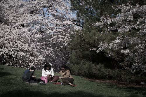 blog photo titled inseparable