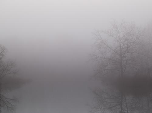 blog photo titled prescription