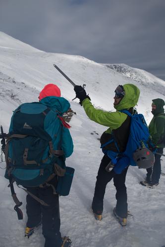 blog photo titled cosmopolis