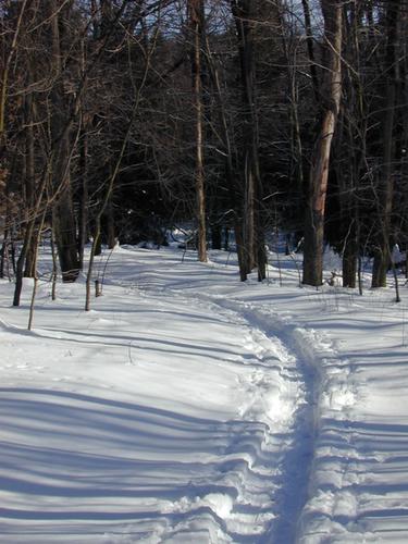 blog photo titled retrace