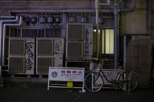 blog photo titled bifurcation