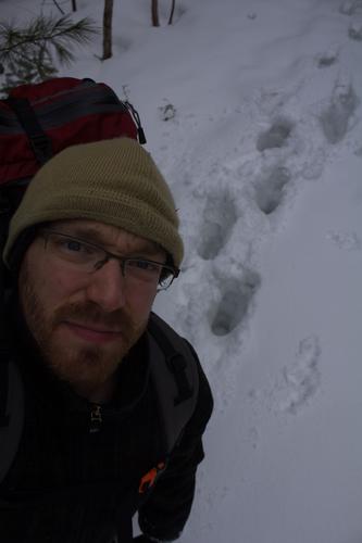 blog photo titled convinced