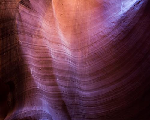 blog photo titled yggdrasil