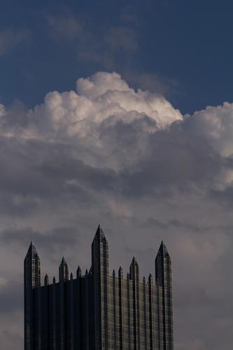 blog photo titled futile