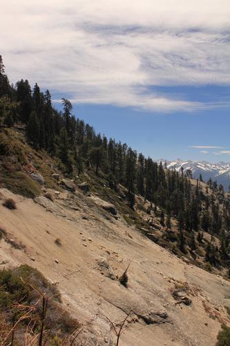 blog photo titled restraint