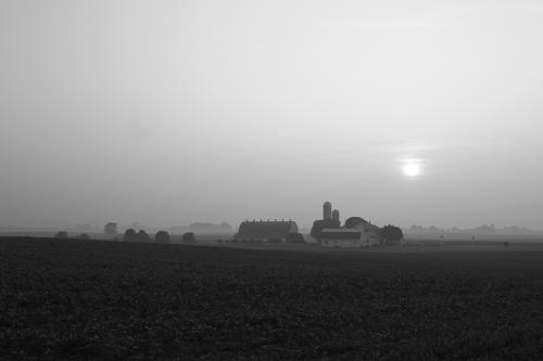 blog photo titled fox