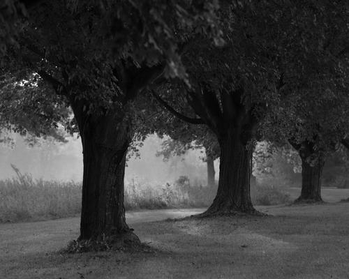 blog photo titled lane