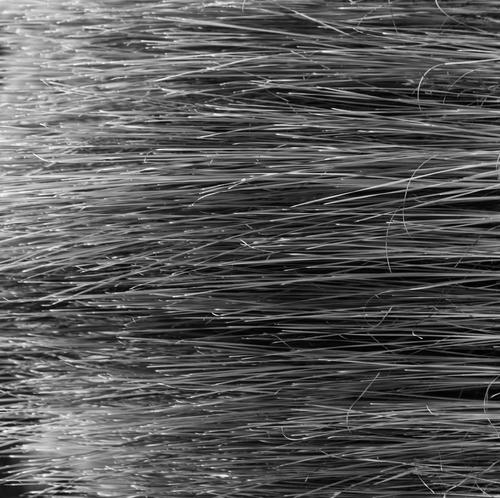 blog photo titled gameplan