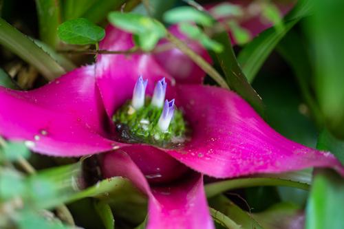 blog photo titled pocket