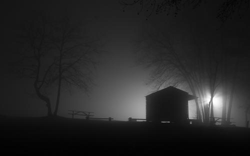 blog photo titled stalking