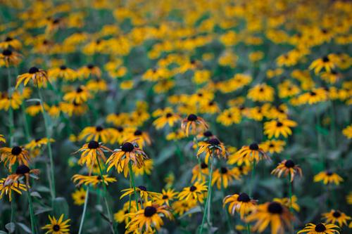 blog photo titled relentless