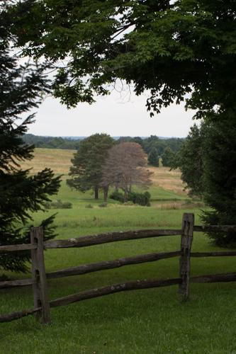 blog photo titled meadow