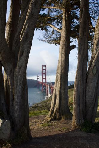 blog photo titled council