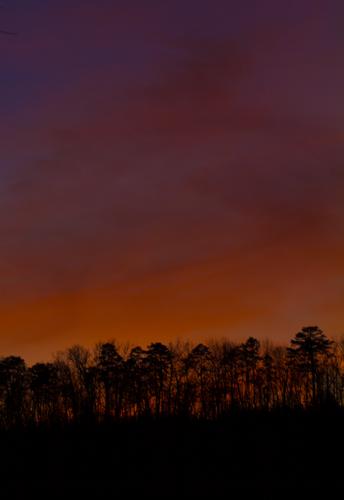 blog photo titled matinee