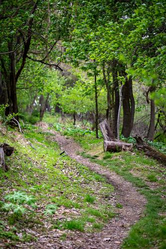 blog photo titled left