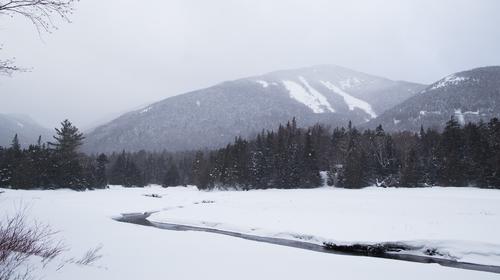 blog photo titled scupper