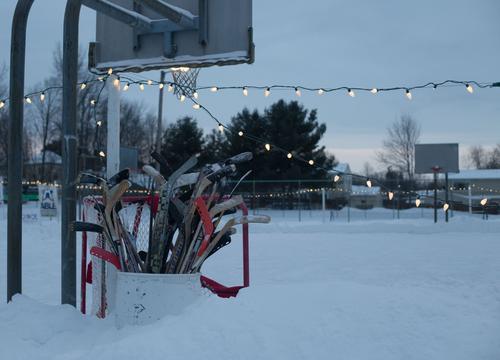 blog photo titled freebie