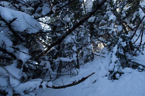 blog photo titled phonetic