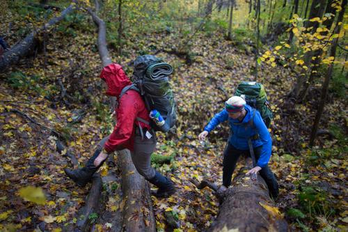 blog photo titled mainstay