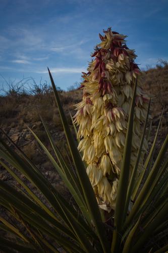 blog photo titled luckiest