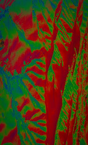 blog photo titled hierarchical