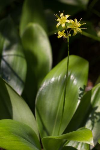 blog photo titled misnomer