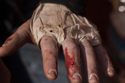 blog photo titled t-bone