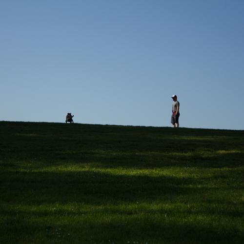 blog photo titled bisection