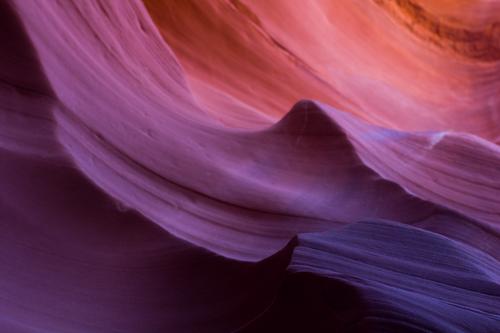 blog photo titled spinster