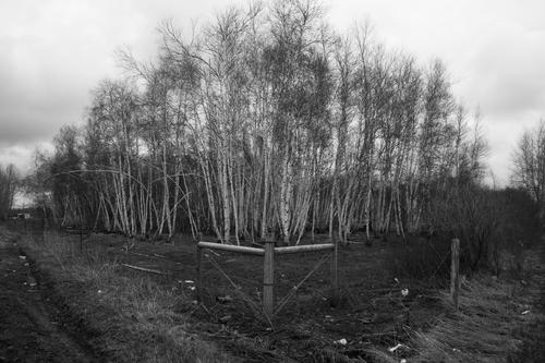 blog photo titled churn