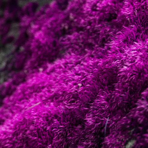 blog photo titled tragic