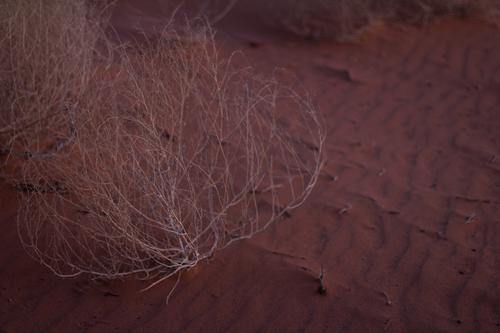 blog photo titled withdrawn