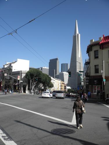 blog photo titled ladytown