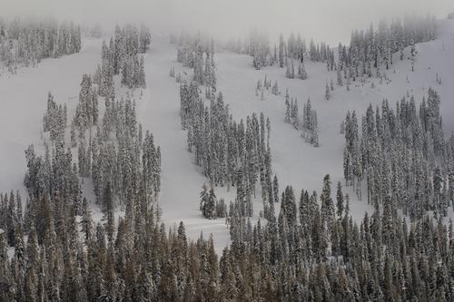 blog photo titled gratitude