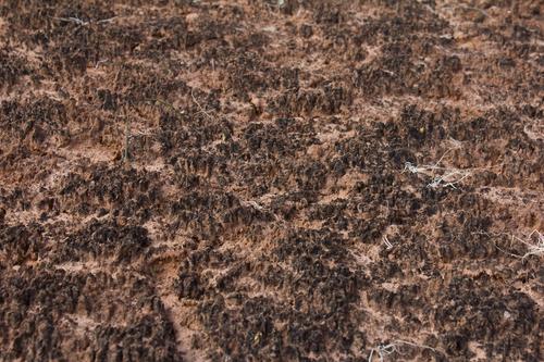 blog photo titled centuries